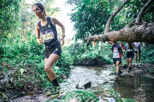 BIB: 
                            <button type="button" onclick="openModal(25433264)" class="btn btn-primary btn-sm float-right btn-popup" data-toggle="modal" data-target=".modal-high-quality">
                        <i class="fas fa-shopping-cart"></i> Add to Cart
                    </button>
                                            <button type="button" onclick="isThisMe(25433264, true)" class="btn btn-success btn-sm float-right btn-popup btn-isme hidden" data-toggle="tooltip" data-placement="bottom" title="นี่คือรูปของคุณใช่ไหม คลิกที่นี่เพื่อเอาเข้าอัลบั้ม">
                        <i class="fas fa-plus"></i> Add to album
                    </button>
                    <button type="button" onclick="isThisMe(25433264, false)" class="btn btn-warning btn-sm float-right btn-popup btn-isnotme hidden">
                        <i class="fas fa-ban"></i> Remove from album
                    </button>